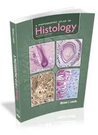 A Photographic Atlas of Histology, 2e