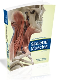 An Illustrated Atlas of the Skeletal Muscles, 4e