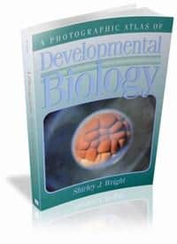 A Photographic Atlas of Developmental Biology