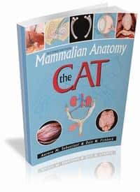Mammalian Anatomy: The Cat, 2e
