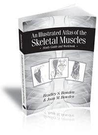 An Illustrated Atlas of the Skeletal Muscles: Study Guide and Workbook