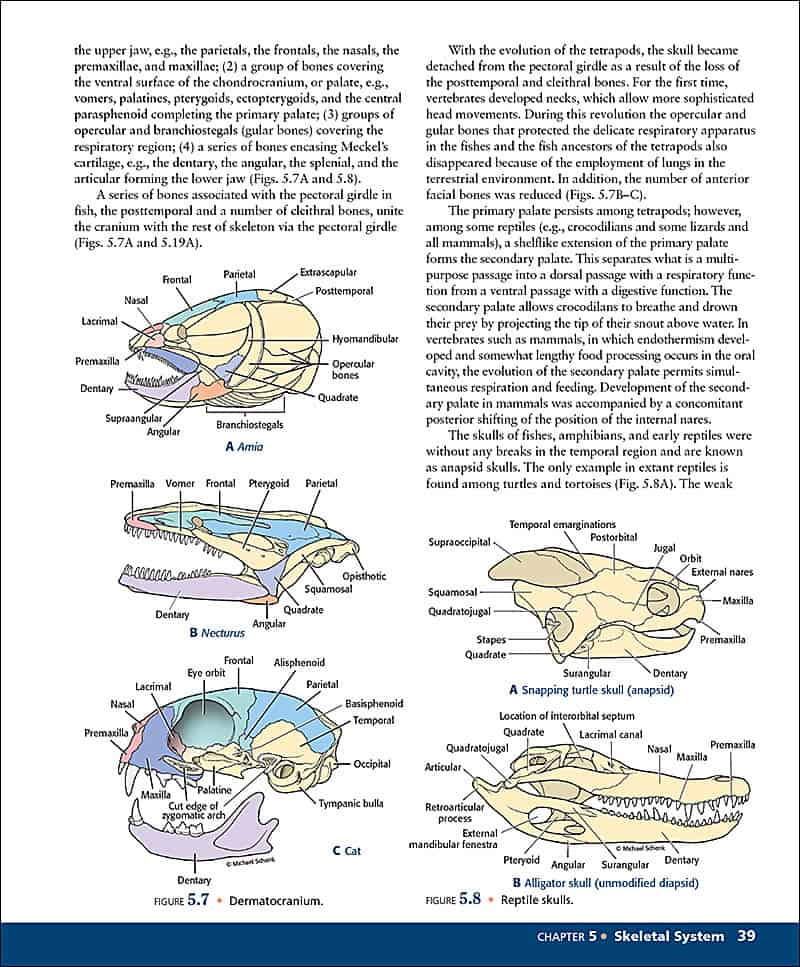 Comparative Anatomy: Manual of Vertebrate Dissection, 3e - Morton ...