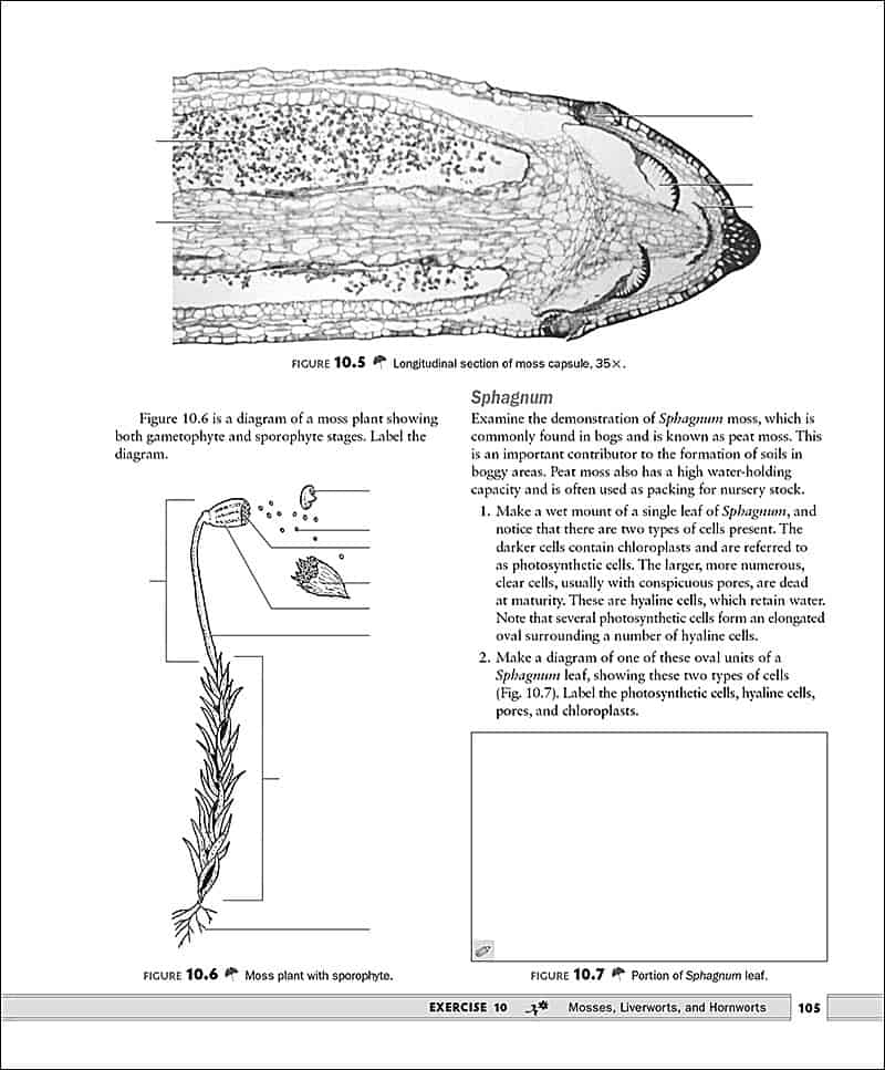 Exercises for the Botany Laboratory, 2e Morton Publishing