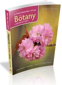 A Photographic Atlas for the Botany Laboratory, 7e