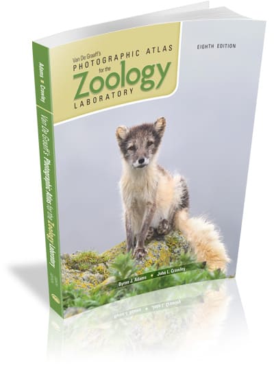 Van De Graaff's Photographic Atlas for the Zoology Laboratory, 8e