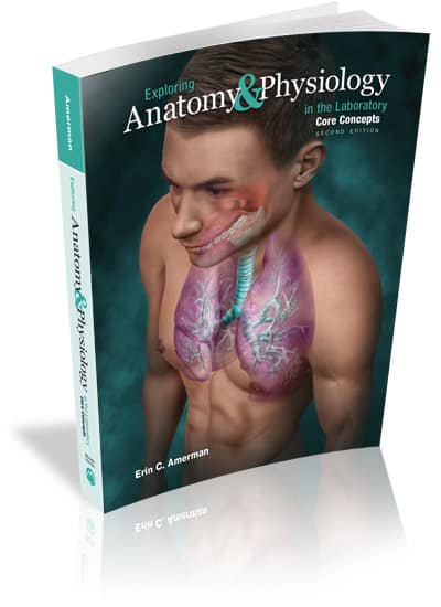 Exploring Anatomy & Physiology in the Laboratory: Core Concepts, 2e