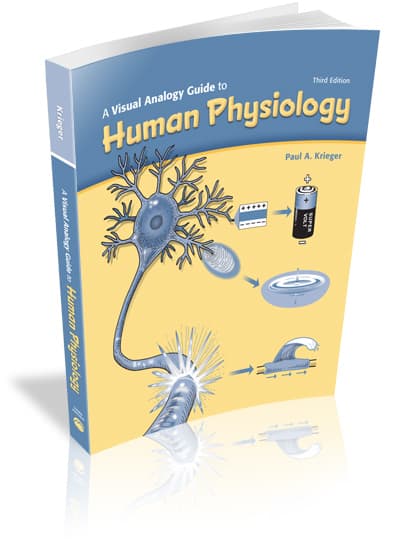A Visual Analogy Guide to Human Physiology, 3e