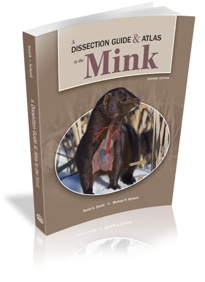 A Dissection Guide & Atlas to the Mink, 2e