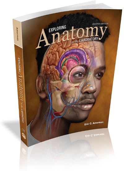 Exploring Anatomy in the Laboratory, 2e