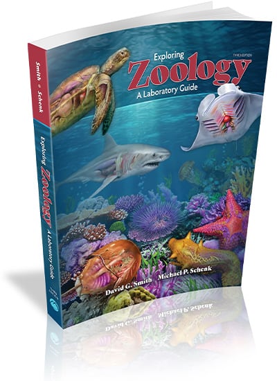 Exploring Zoology: A Laboratory Guide, 3e