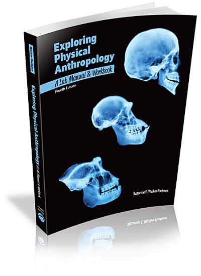 Exploring Physical Anthropology: A Lab Manual and Workbook, 4e