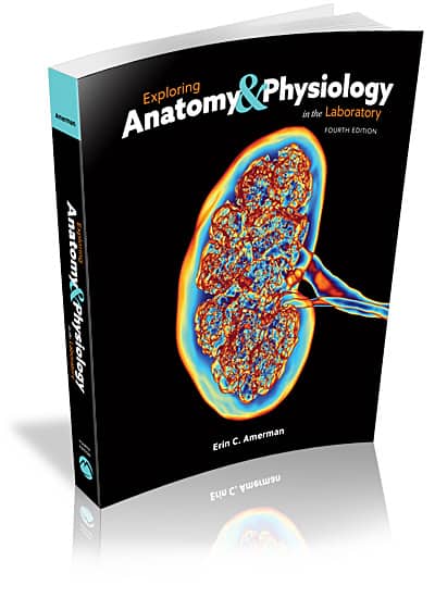 Exploring Anatomy & Physiology in the Laboratory, 4e