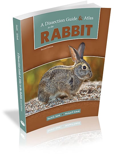 A Dissection Guide & Atlas to the Rabbit, 2e