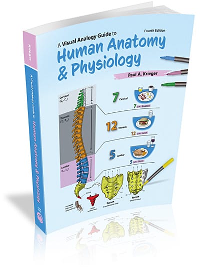 A Visual Analogy Guide to Human Anatomy & Physiology, 4e
